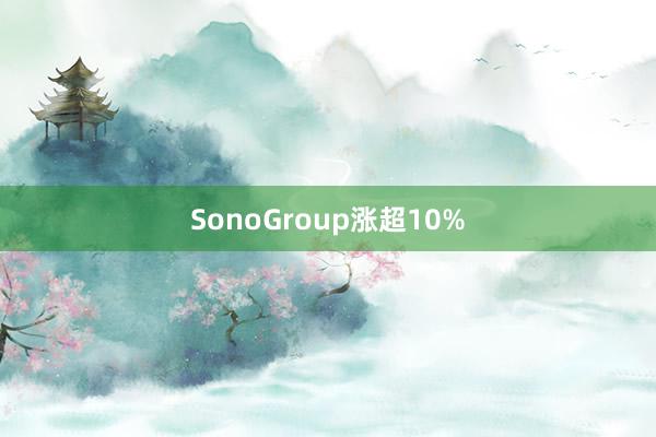 SonoGroup涨超10%